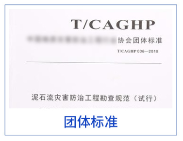 团体标准案例